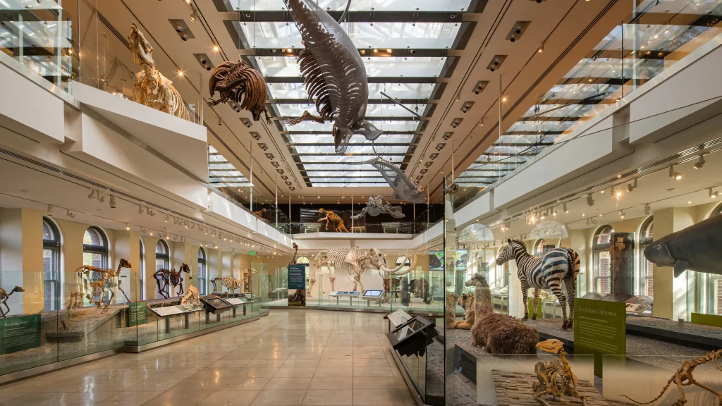Natural History Gallery of Los Angeles County